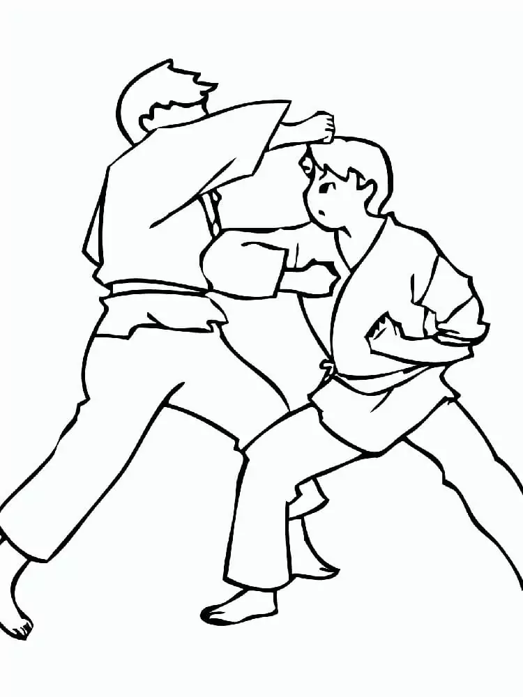 Karate Fight