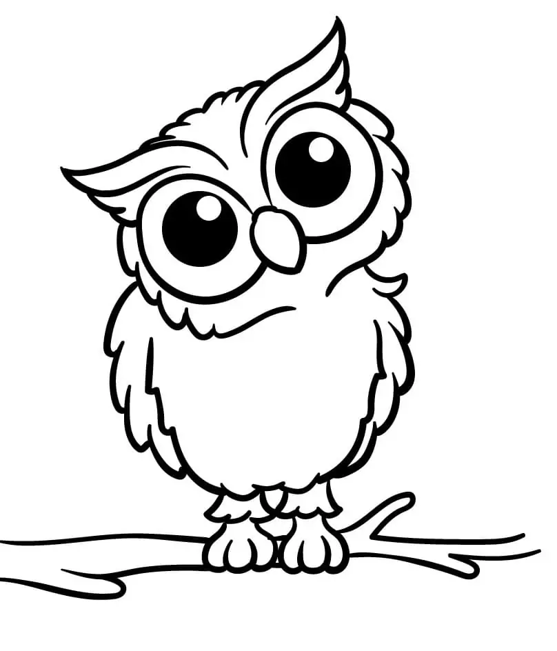 Kawaii Owl