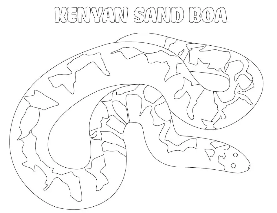Kenyan Sand Boa