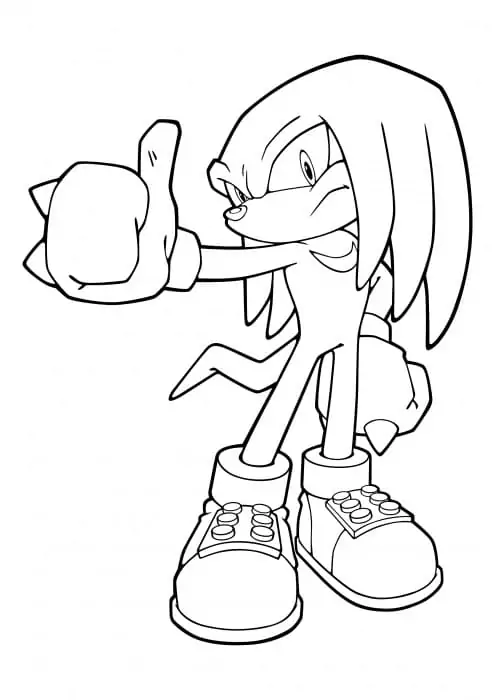 Knuckles The Echidna is Cool