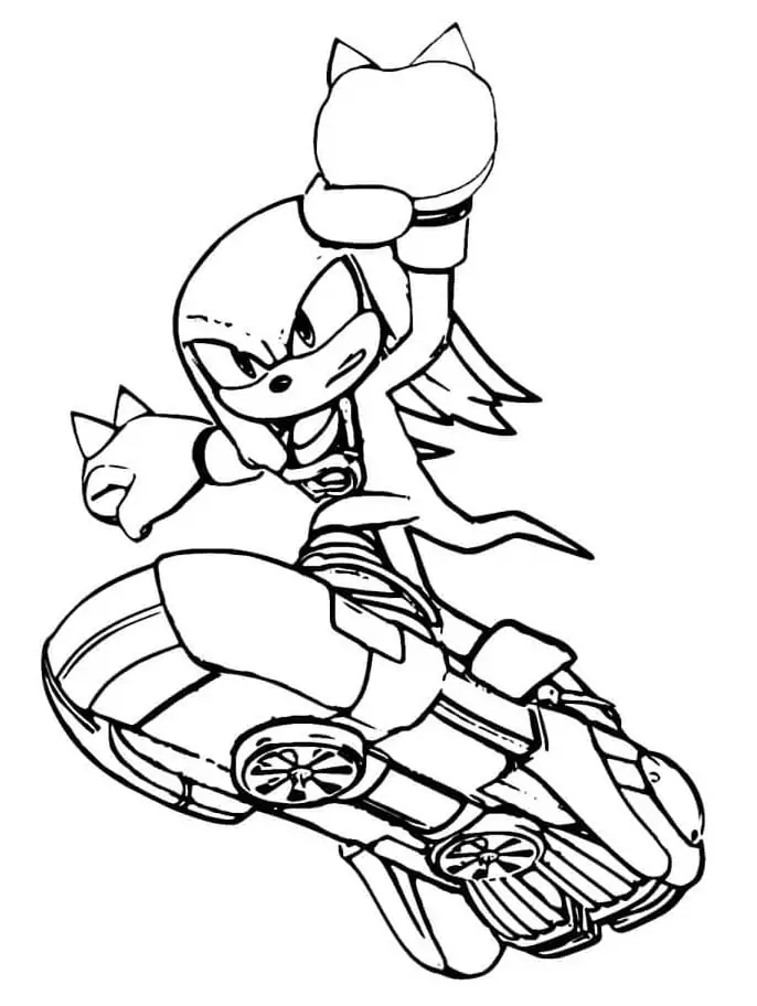 Knuckles The Echidna on Board
