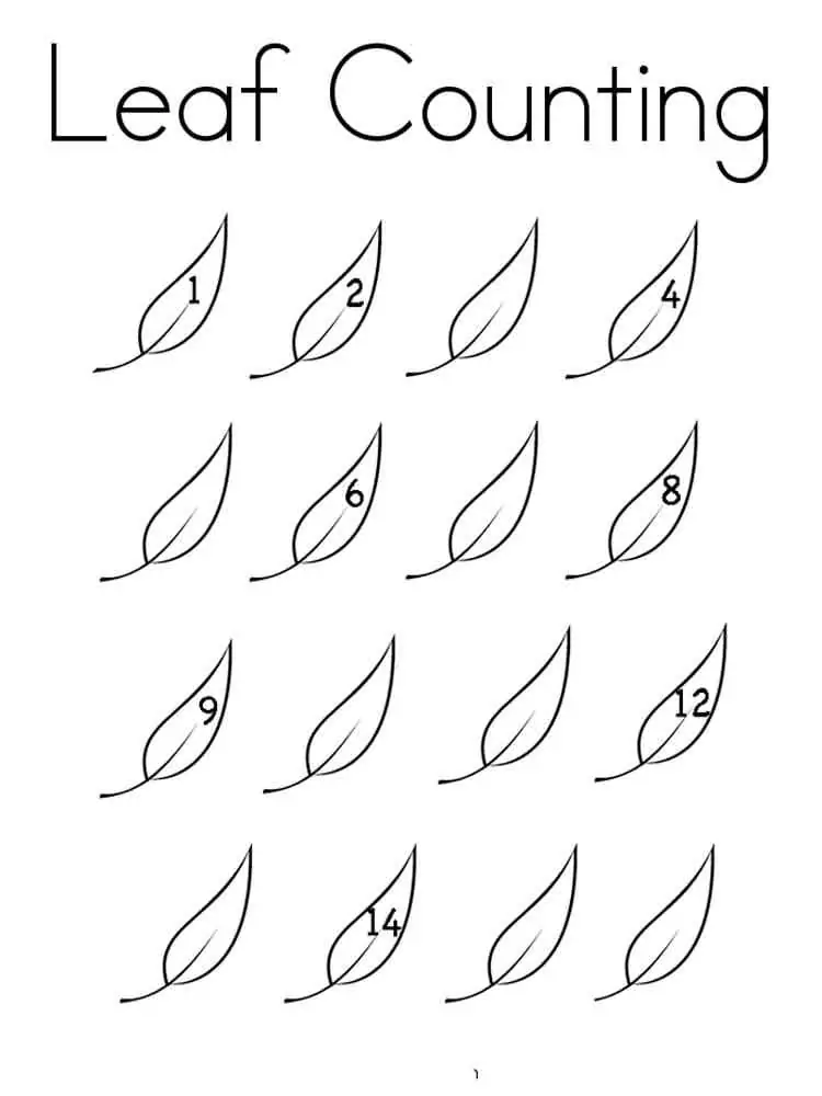 Leaf Counting