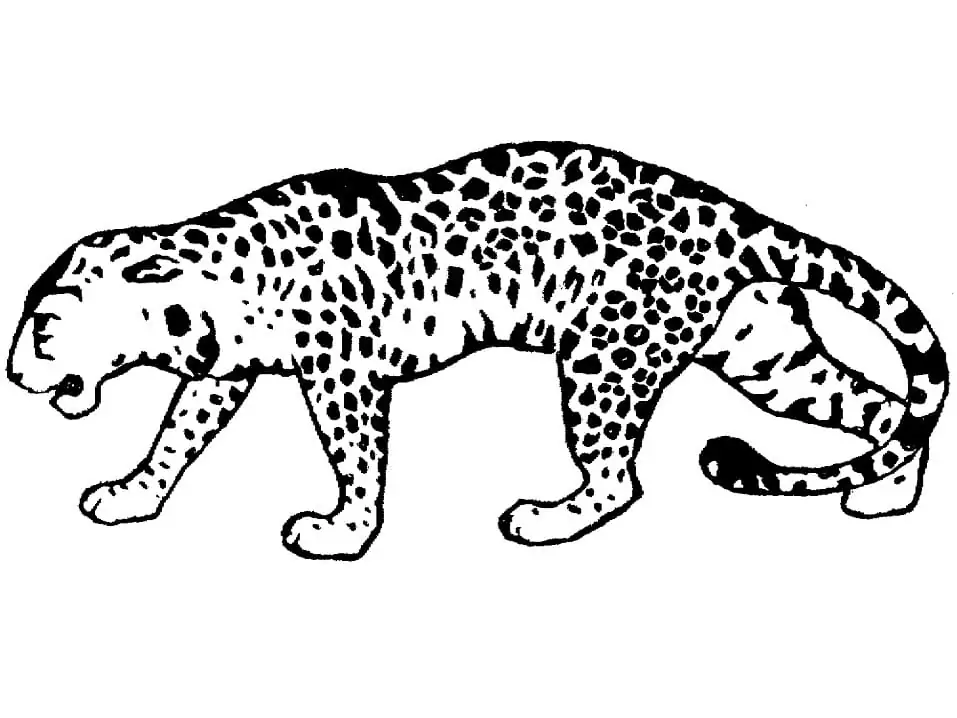 Leopard Free Printable