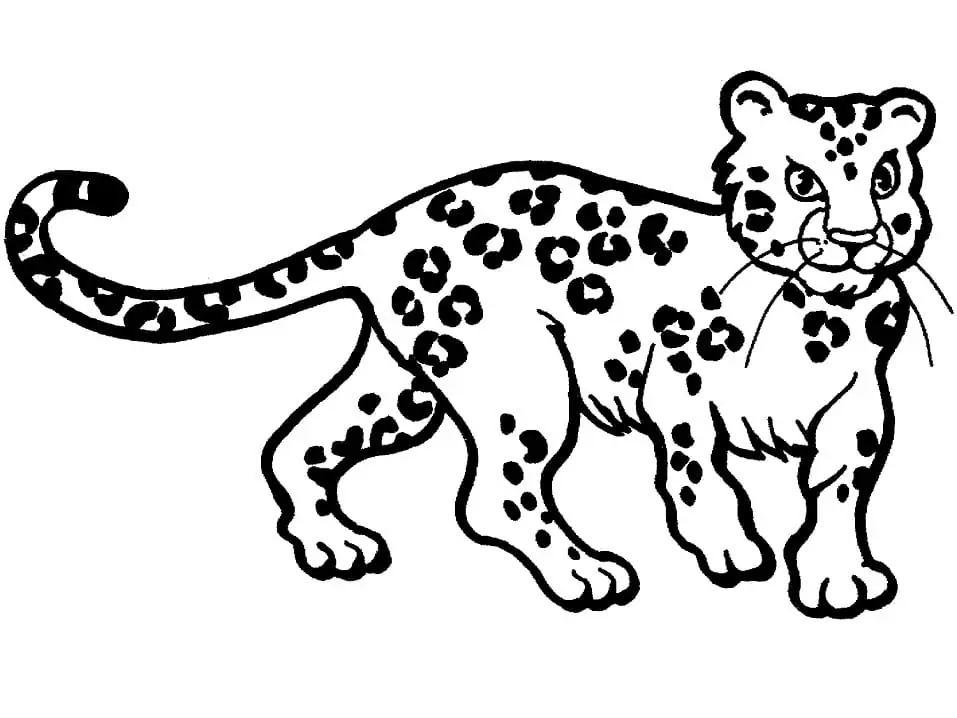 Leopard to Color