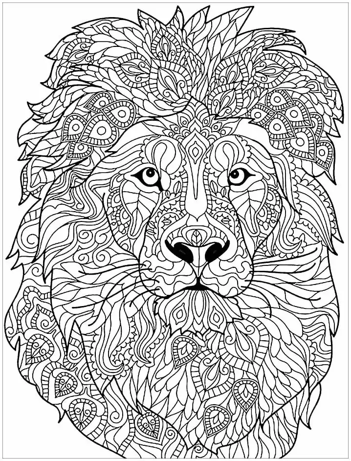 Lion Face Zentangle