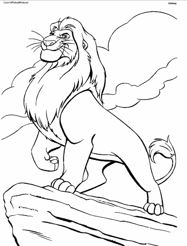 Lion On A Rock