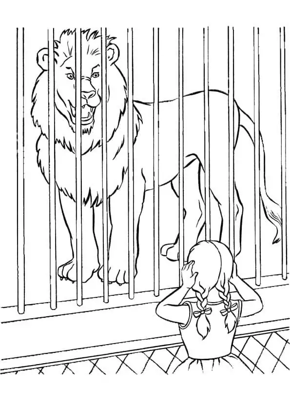 Lion in a Zoo