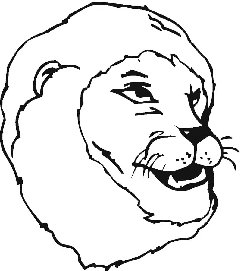 Lion’s Head