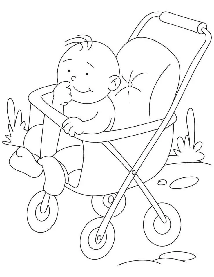Little Boy in Stroller