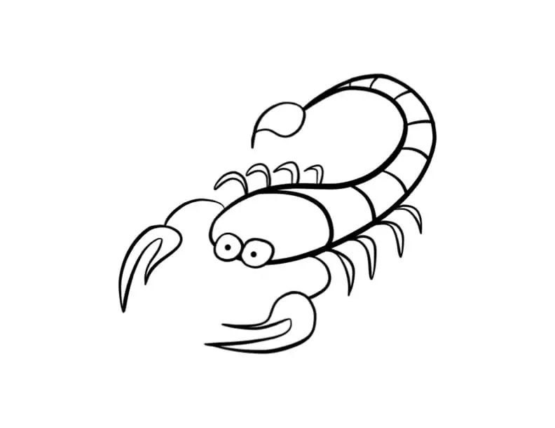 Kleiner Skorpion