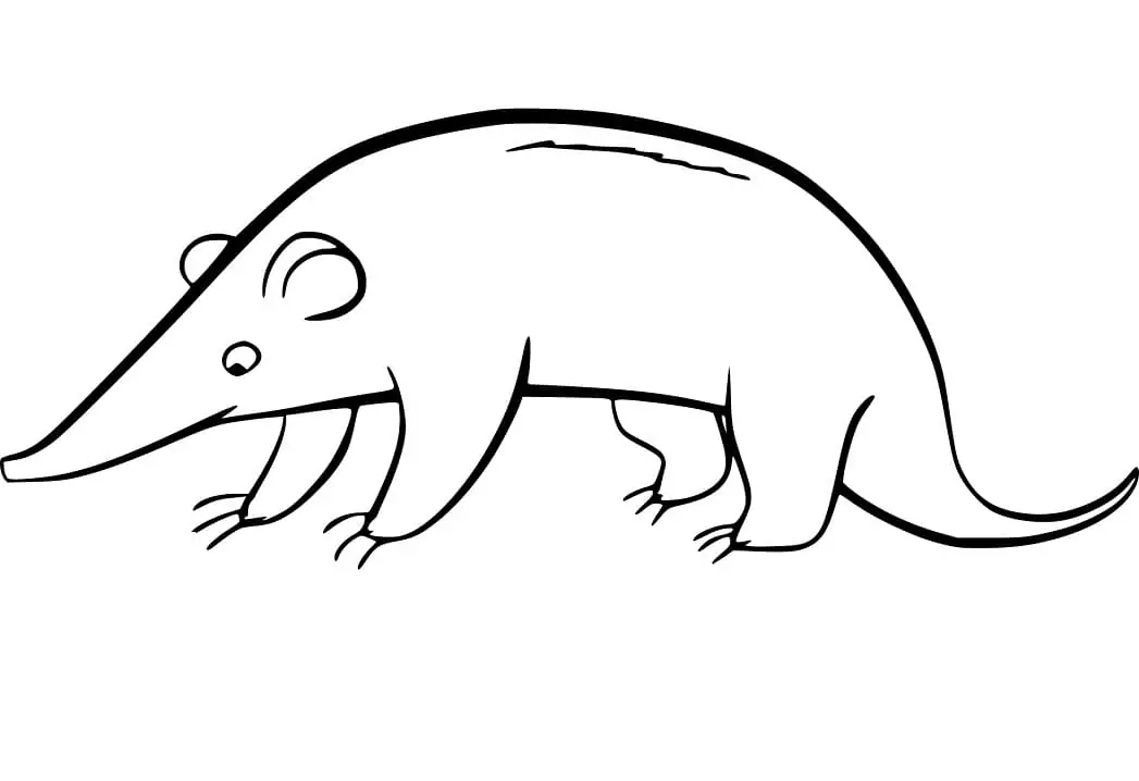 Shrew Coloring Pages - Free printable coloring pages for kids