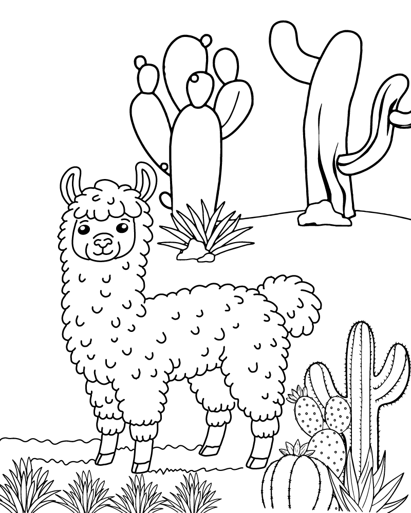 Llama Coloring Page-02