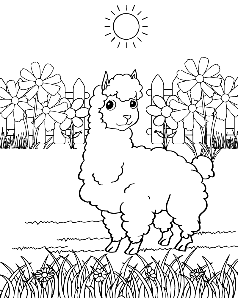 Llama Coloring Page-03 - Coloring Pages