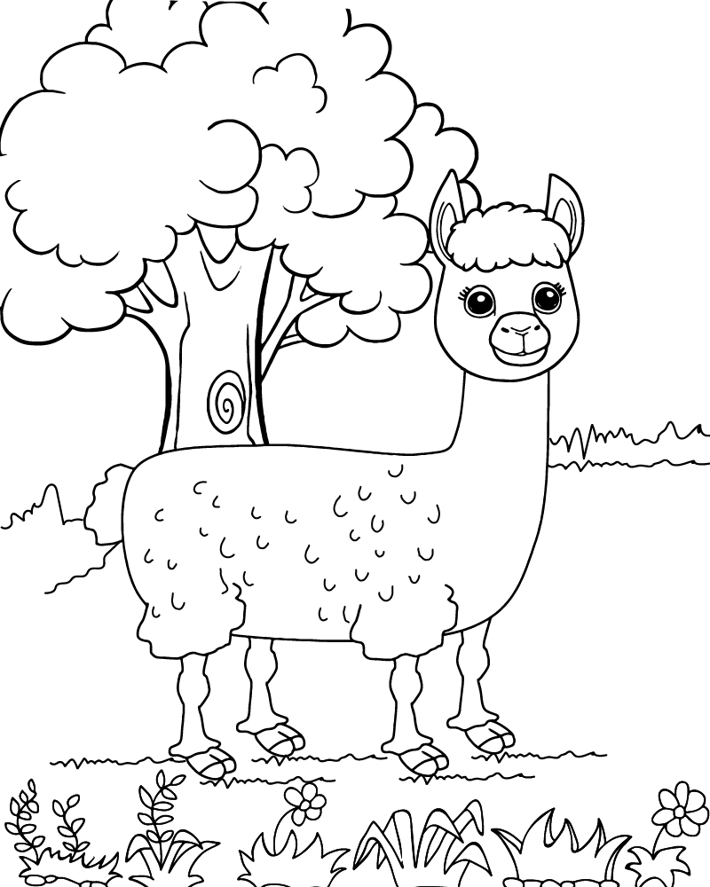 Llama Coloring Page-06 - Coloring Pages