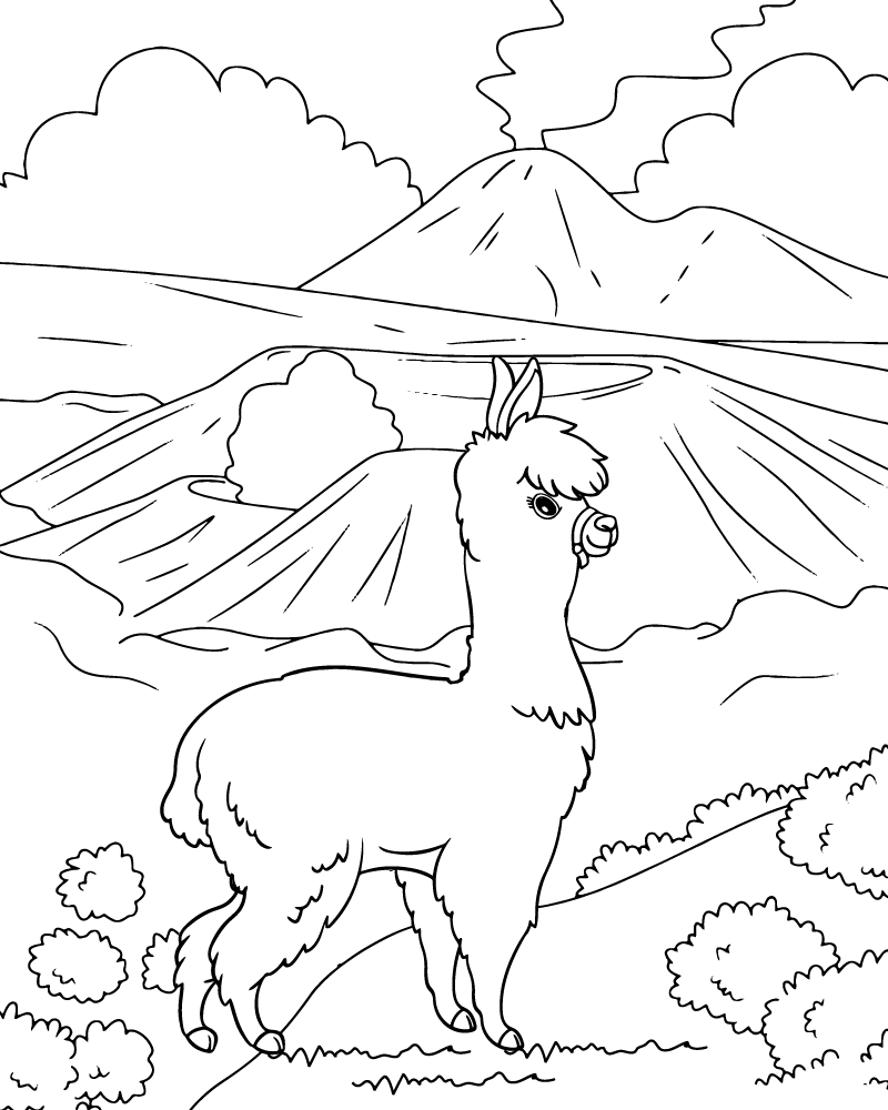 Llama Coloring Page-02