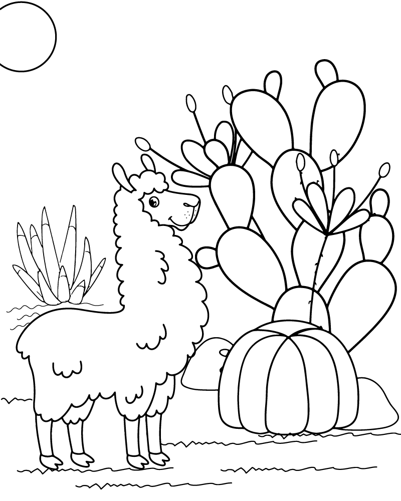 Llama Coloring Page-04 - Coloring Pages