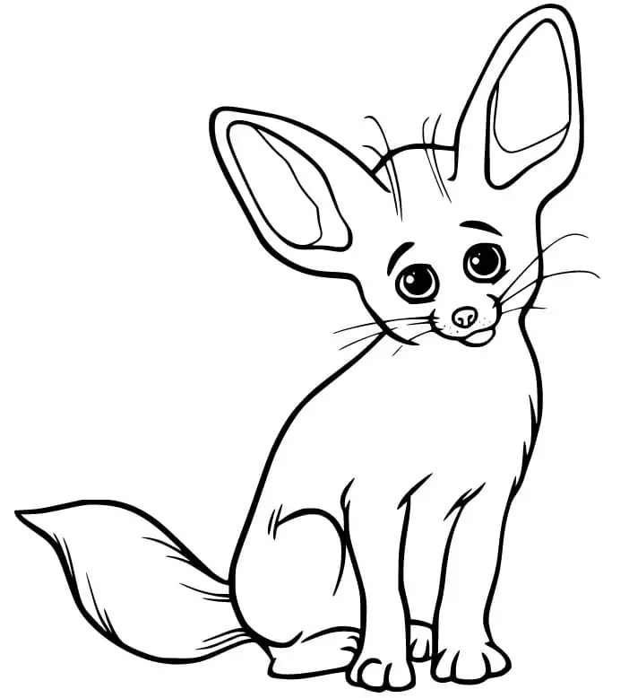 Lovely Fennec Fox