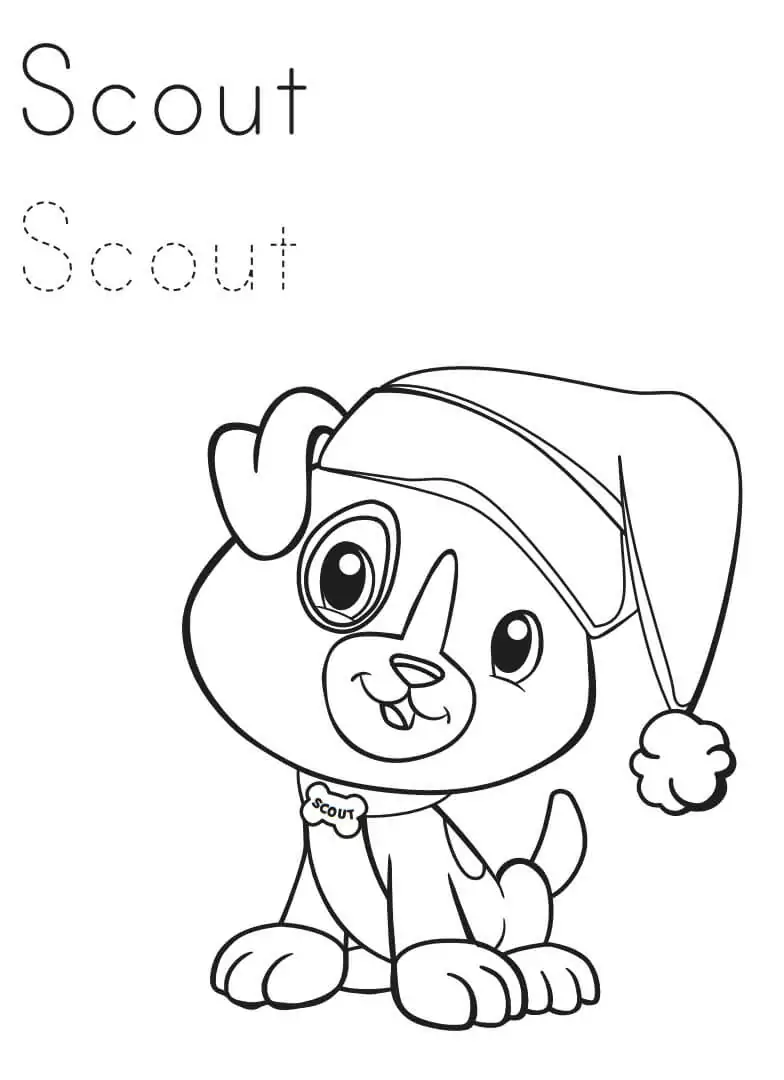 Lovely Scout from Leapfrog