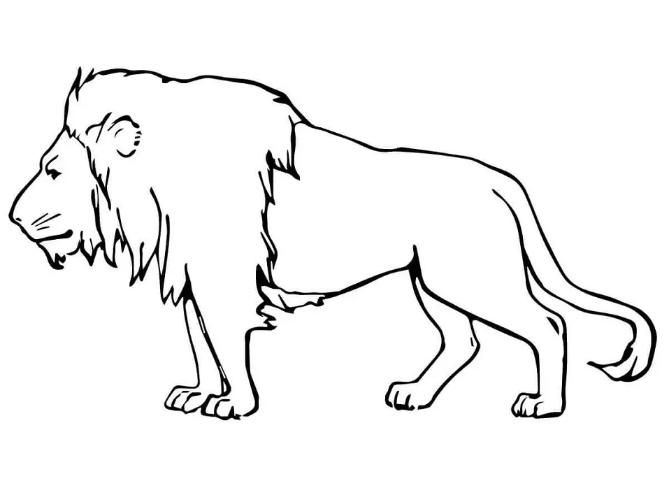 Male Lion Färbung Seite - Kostenlose druckbare Malvorlagen für Kinder