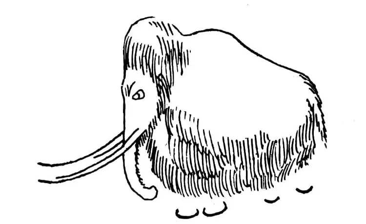 Mammoth Drawing