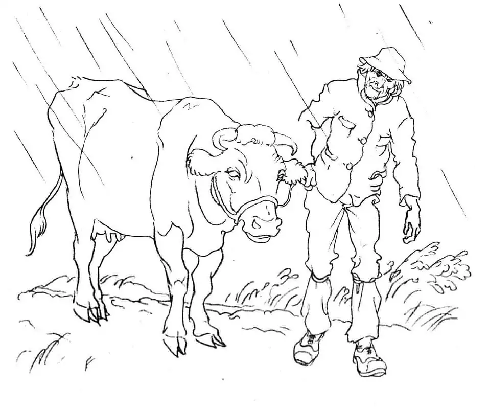 Man and A Cow
