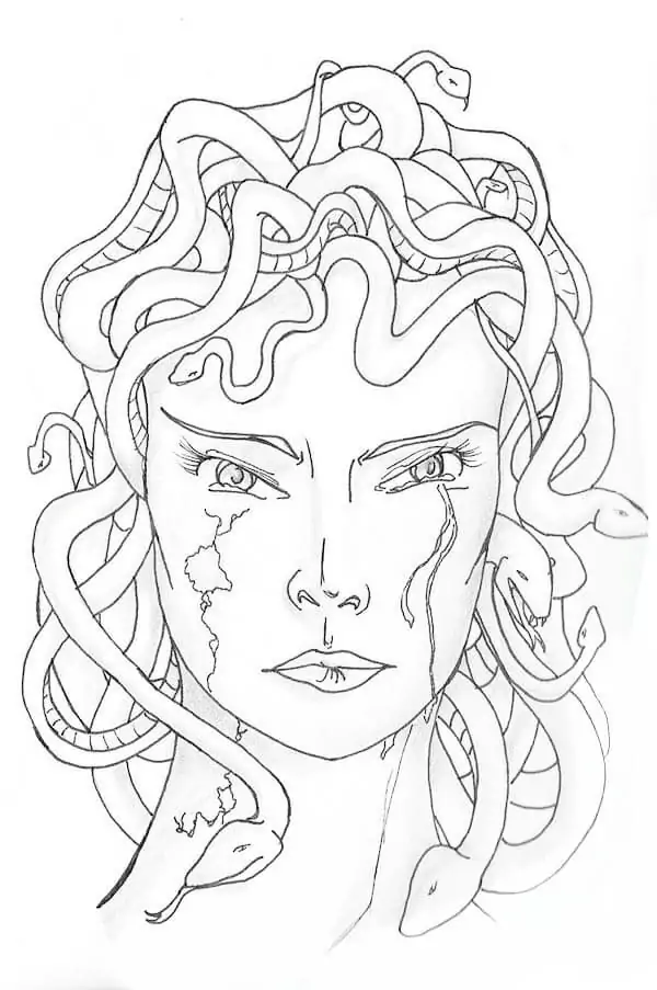 Medusa's Face