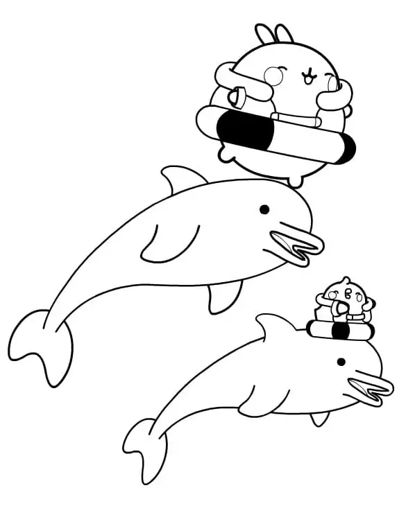 Molang and Dolphins