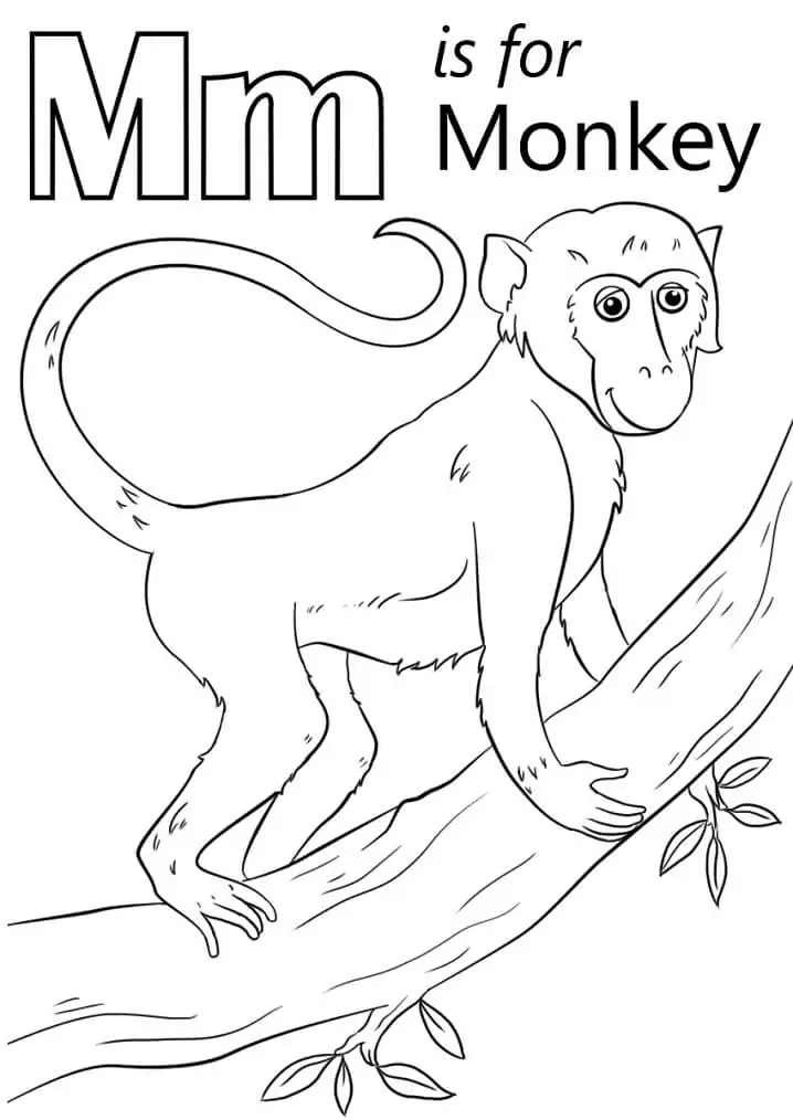 Monkey Letter M