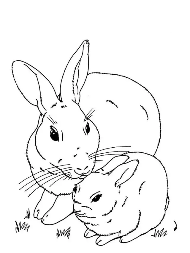 Mutter und Kaninchenbaby