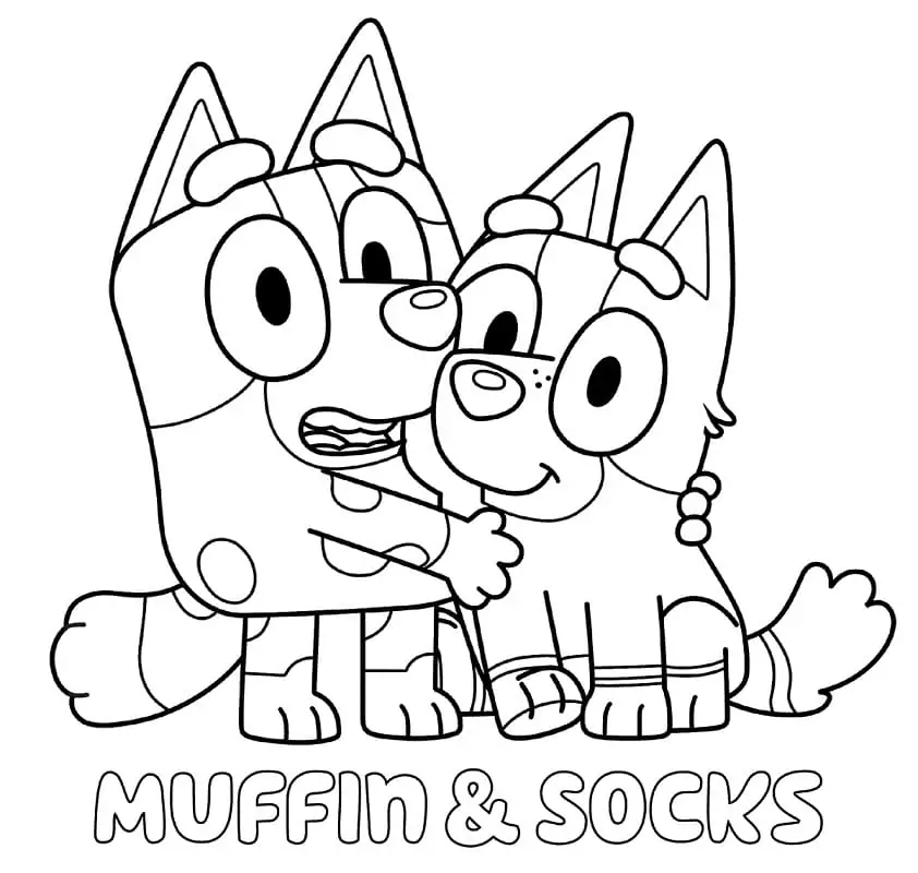 Muffin und Socken