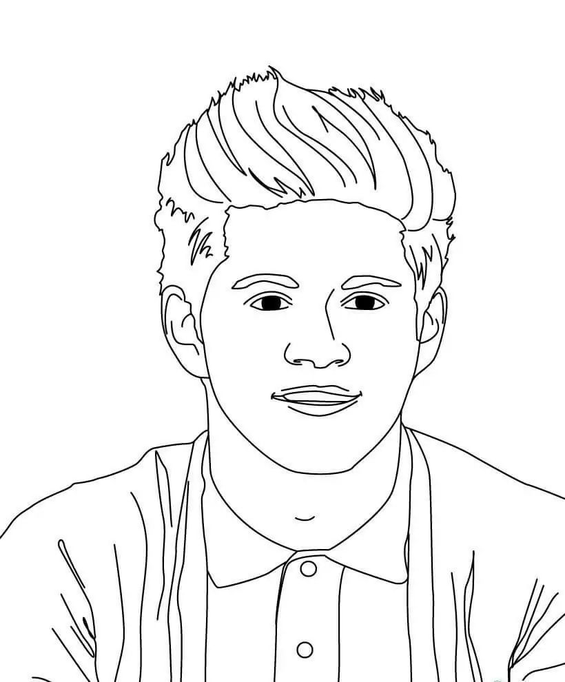 Niall Horan One Direction 1