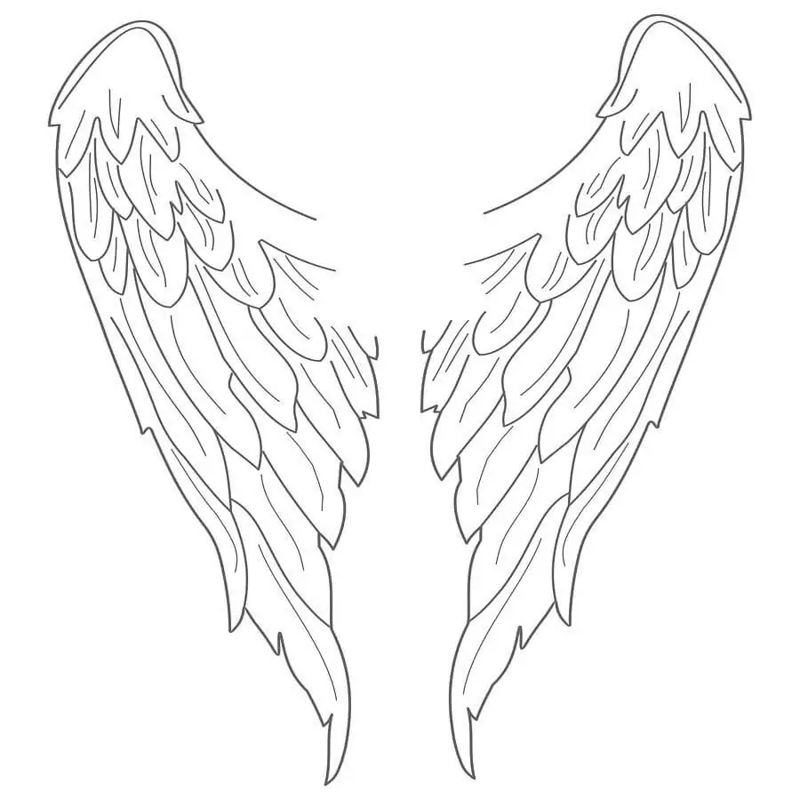 Nice Angel Wings