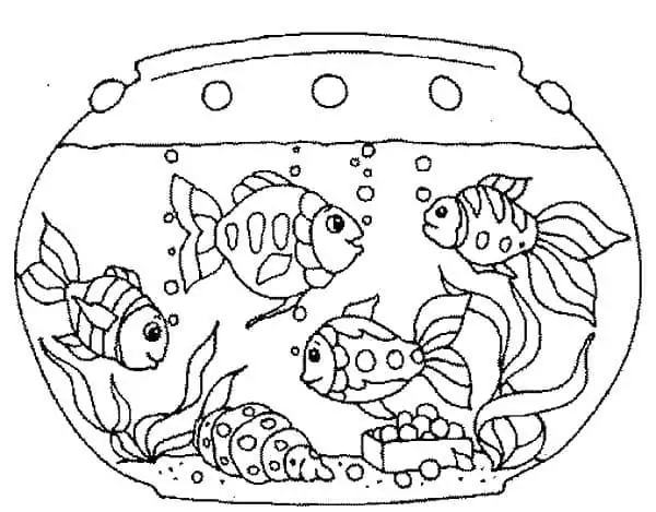Nice Fish Bowl