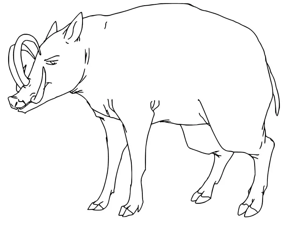 Wild Babirusa Coloring Page - Free Printable Coloring Pages for Kids