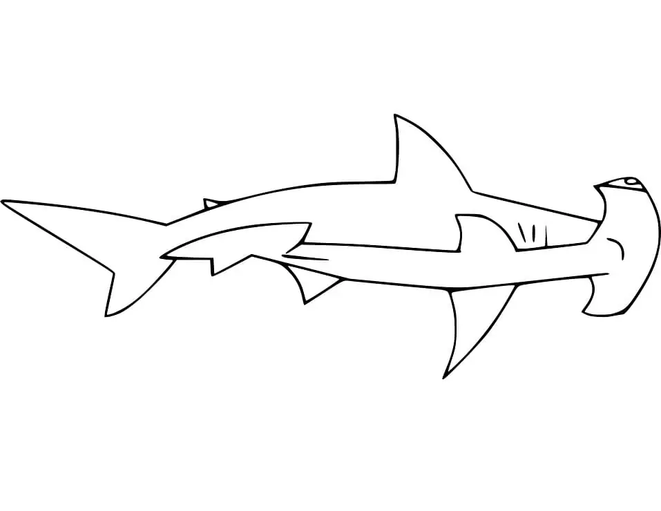 Normal Hammerhead Shark Coloring Page - Free Printable Coloring Pages ...