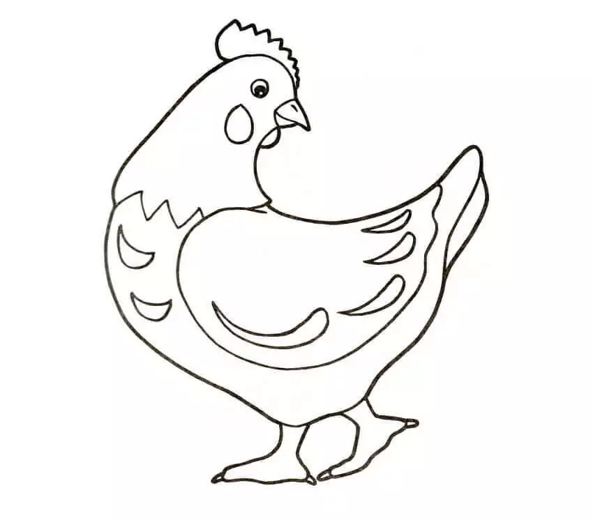 Normal Hen