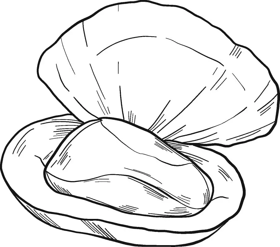 Normal Mussel