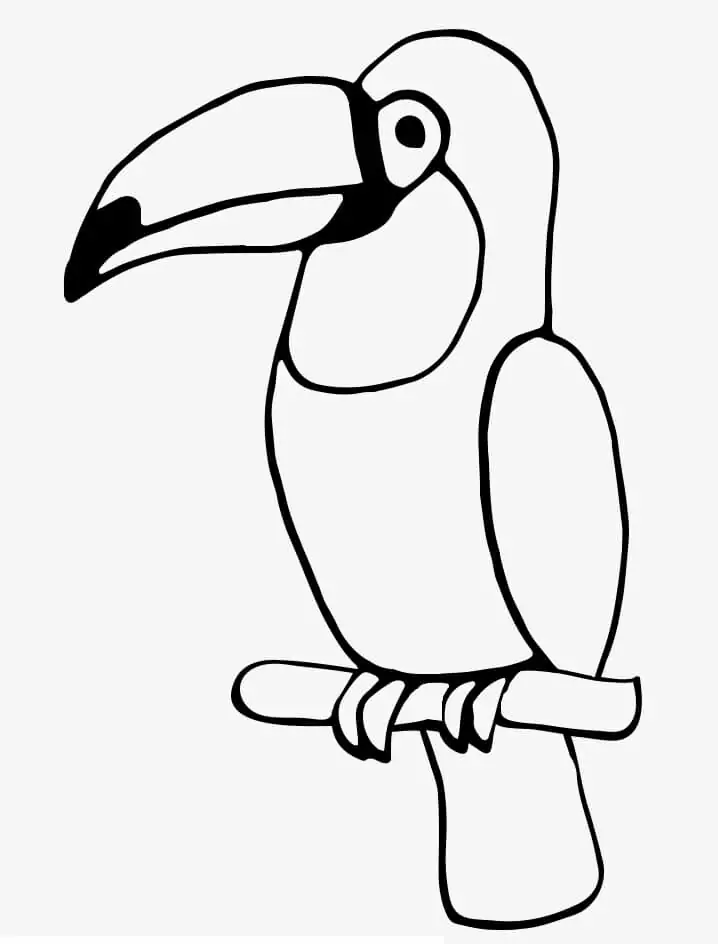 Normal Toucan Bird
