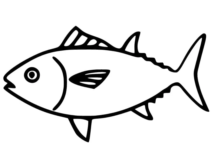 Northern Bluefin Tuna