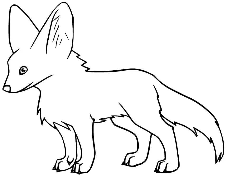 One Fennec Fox
