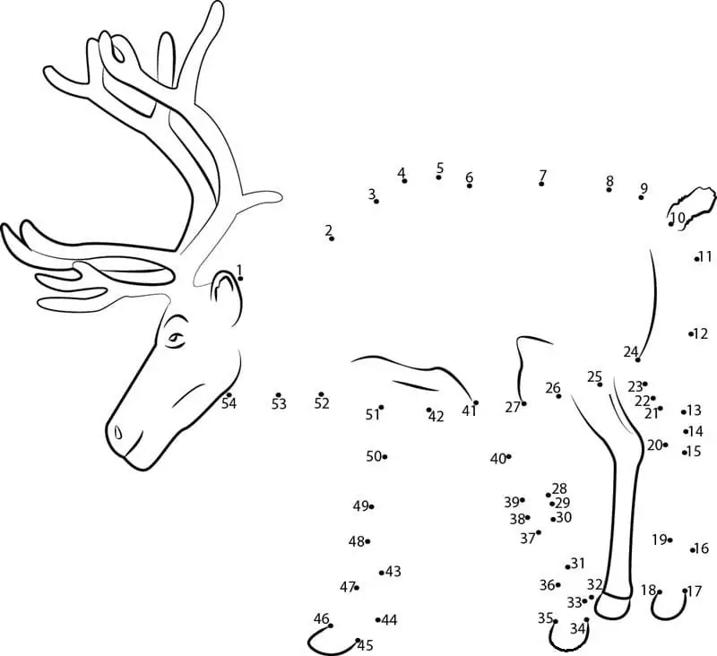 One Reindeer Dot to Dots