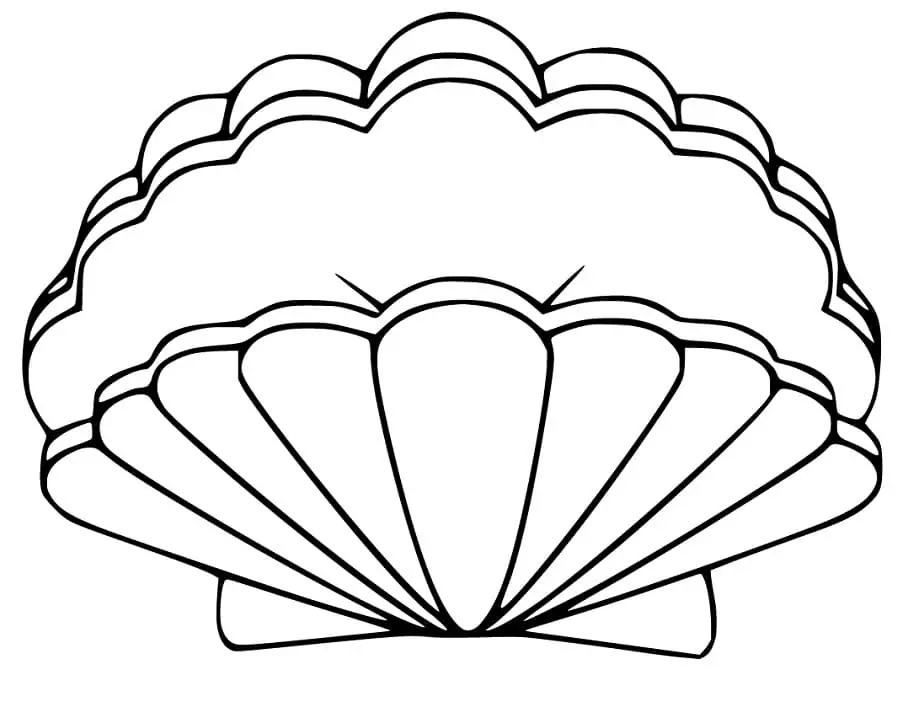 Opening Scallop