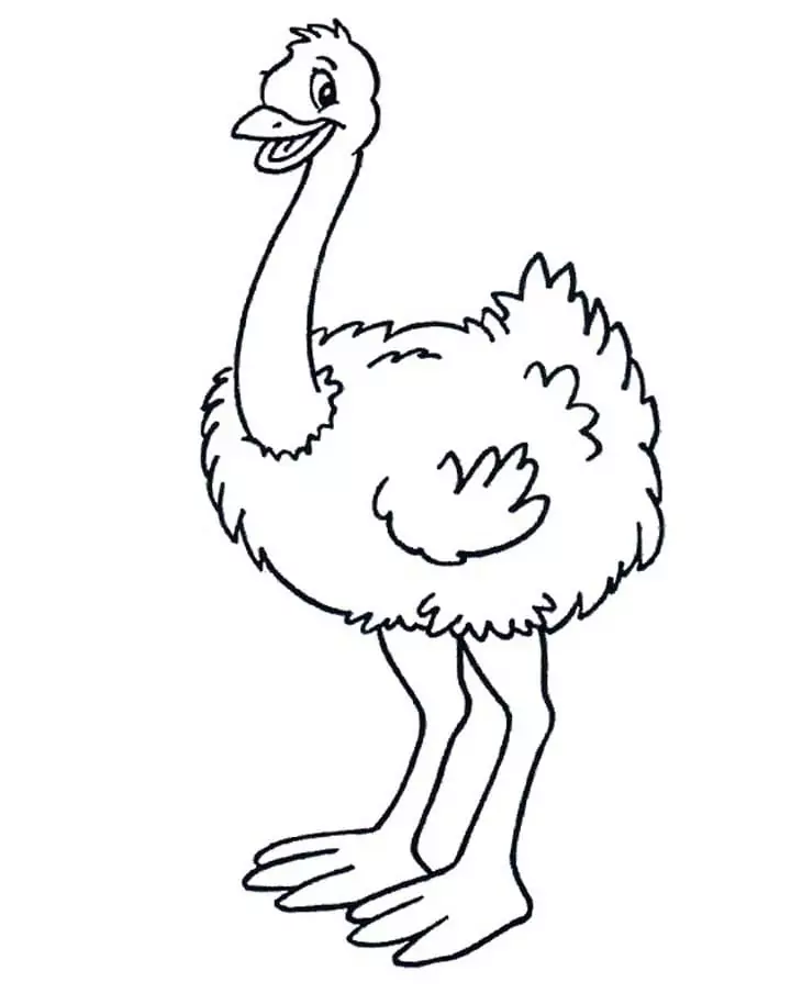 Ostrich is Smiling