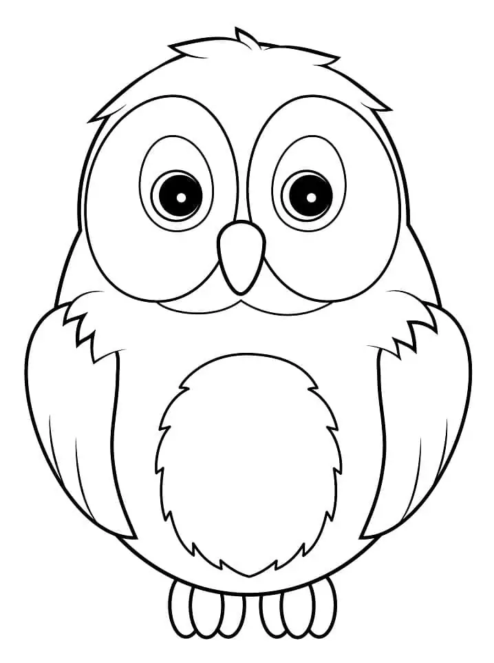Owl 9