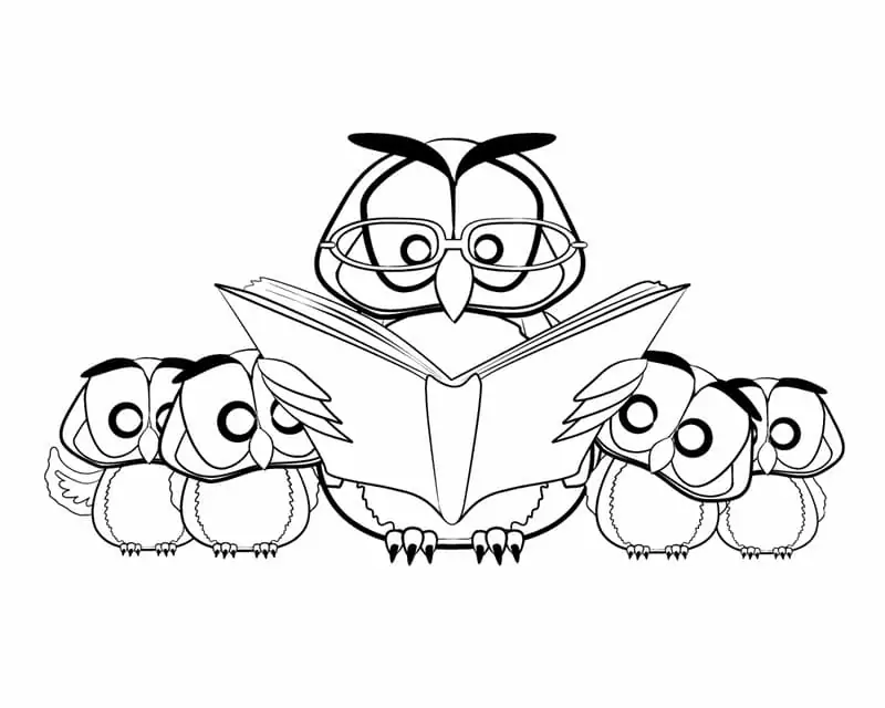 Owl Class