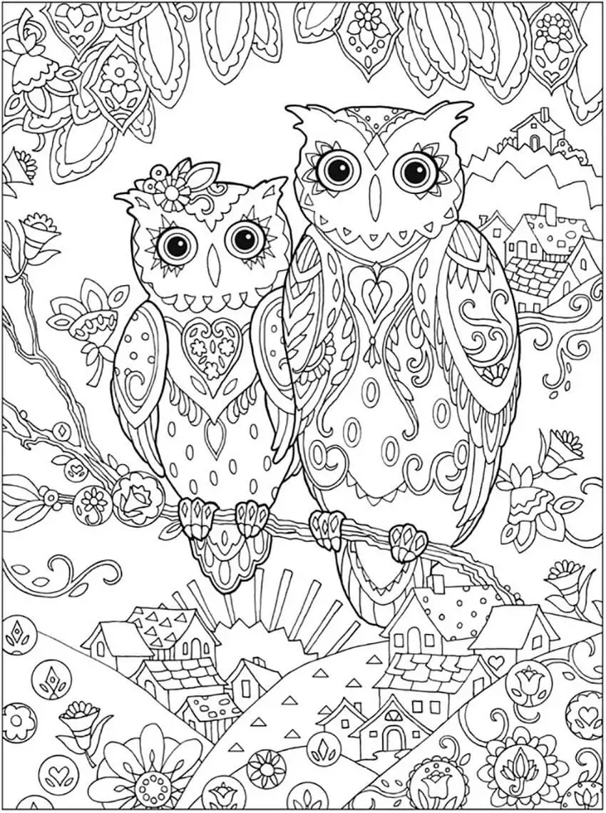Owl Mindfulness