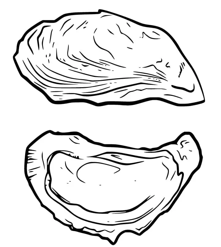Austernschalen