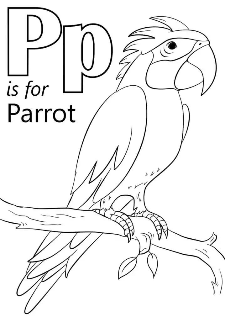 Papagei Buchstabe P