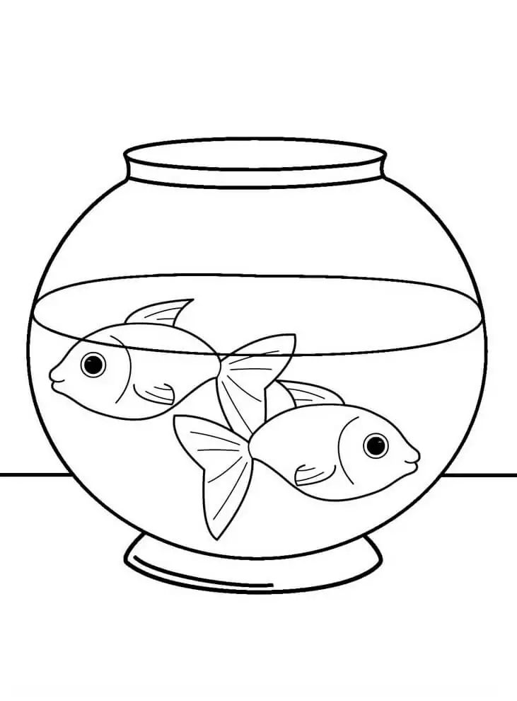 Pet Fishes