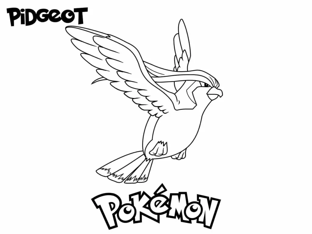 Pidgeot Pokemon